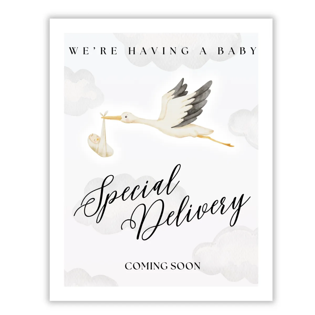 Special Delivery Stork Bottle Labels (3x5) Image 4