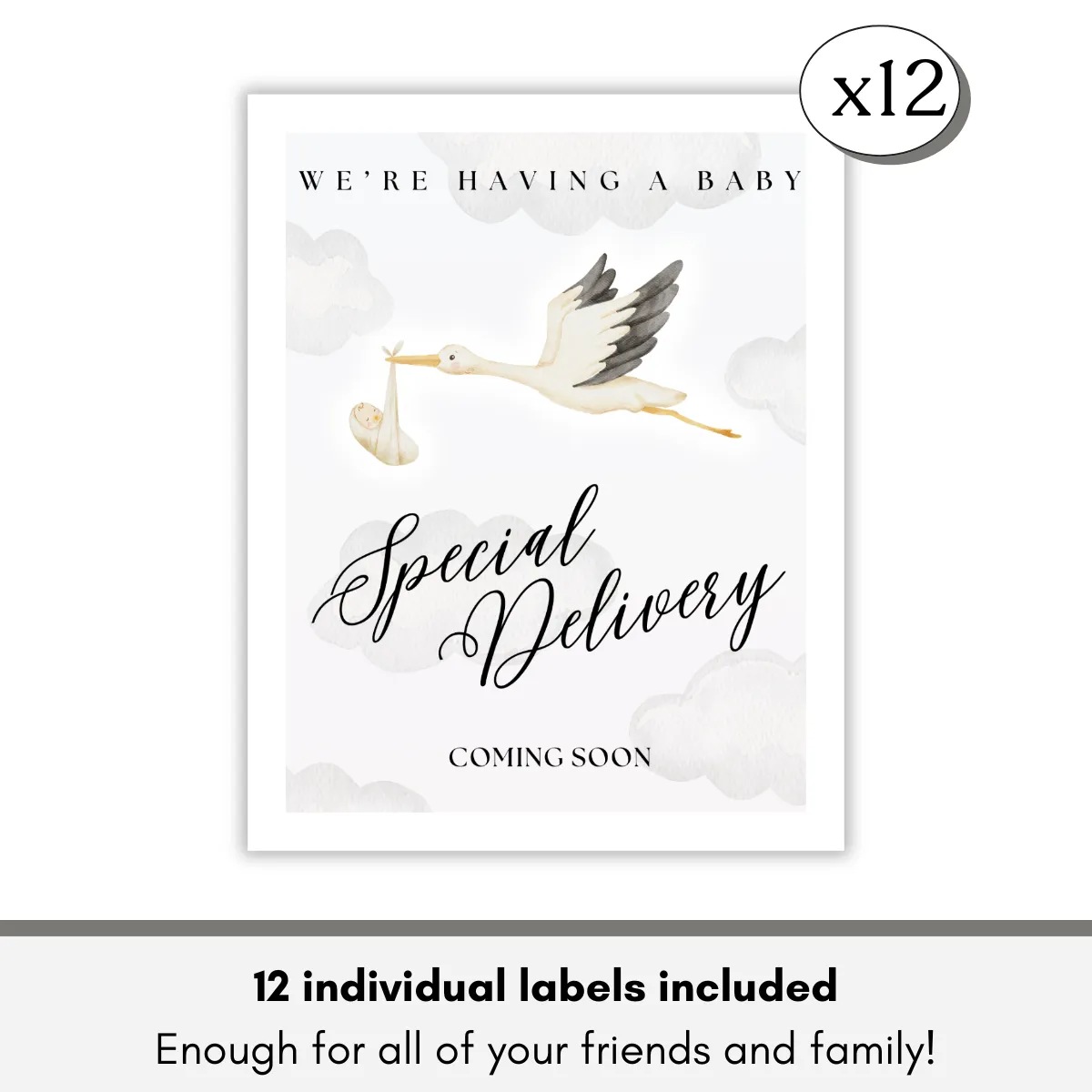 Special Delivery Stork Bottle Labels (3x5) Image 5