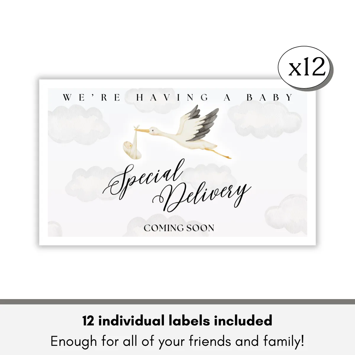 Baby Stork Wine Labels (4.75x3.75) Image 5